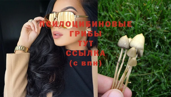 каннабис Абаза