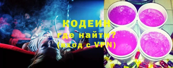 стаф Медногорск