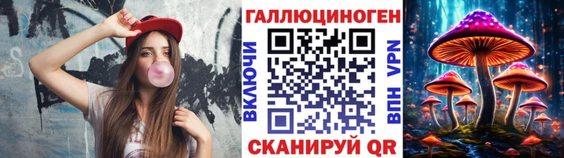 где продают наркотики  Ялуторовск  Псилоцибиновые грибы Psilocybe 
